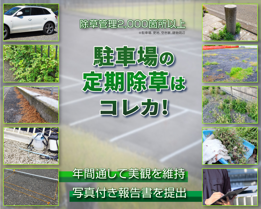 駐車場の定期除草、年間通して美観を維持